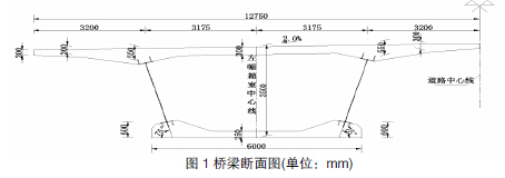 顶推施工中波形钢腹板pc组合梁顶底板剪力滞效应分析