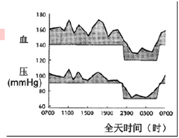 图1 高血压患者的全天血压负荷