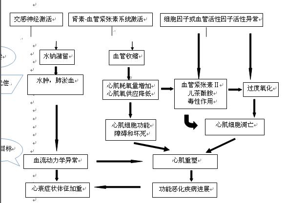 β受体阻滞剂治疗充血性心力衰竭的研究进展