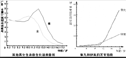 初中生物学曲线图解读