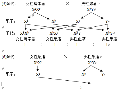 x,y染色体上基因的遗传特点