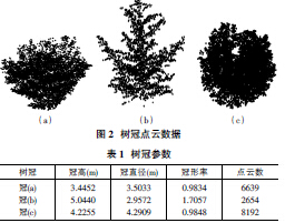 基于激光雷达点云的树冠分形维数及其算法实现