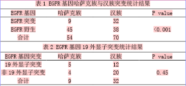 哈萨克族肺癌egfr基因突变比较分析