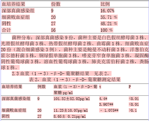 打印预览