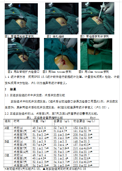 以体外胃壁固定技术为基础的经皮穿刺内镜下胃造瘘术