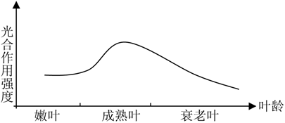 初中生物学曲线图解读