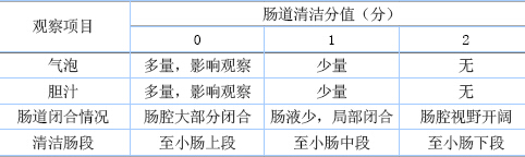 胶囊内镜检查前肠道准备方法的研究