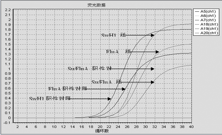 荧光定量pcr法检测乙肝病动_荧光定量pcr检测法(3)