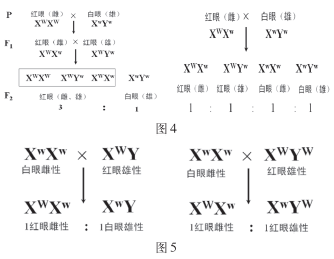 葡萄月令的博客